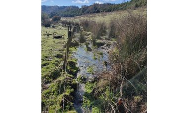 SE VENDE HERMOSO CAMPO   QUICHAMAHUIDA - TRAIGUEN