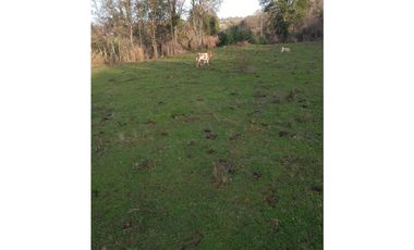 SE VENDE HERMOSO CAMPO   QUICHAMAHUIDA - TRAIGUEN