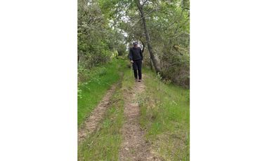 SE VENDE HERMOSO CAMPO   QUICHAMAHUIDA - TRAIGUEN