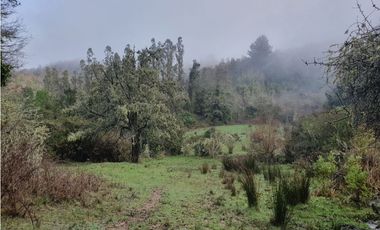 SE VENDE HERMOSO CAMPO   QUICHAMAHUIDA - TRAIGUEN