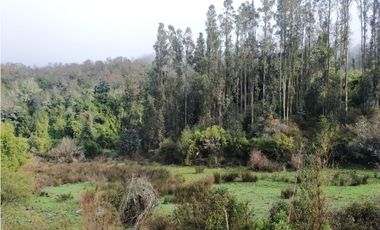 SE VENDE HERMOSO CAMPO   QUICHAMAHUIDA - TRAIGUEN