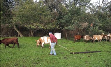 SE VENDE HERMOSO CAMPO   QUICHAMAHUIDA - TRAIGUEN