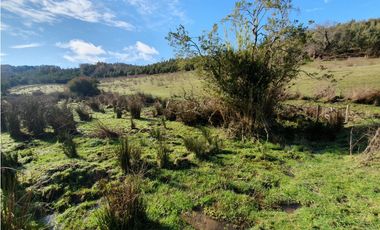 SE VENDE HERMOSO CAMPO   QUICHAMAHUIDA - TRAIGUEN