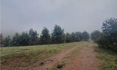 SE VENDE HERMOSO CAMPO   QUICHAMAHUIDA - TRAIGUEN
