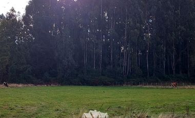 Parcela en Venta en Concepción