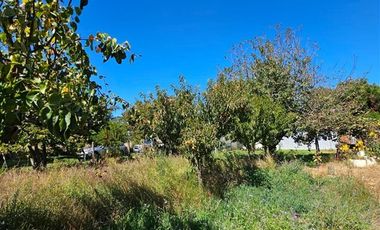 Parcela en Venta en Camino Antuco