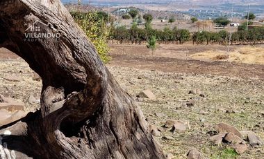 Parcela en Venta en HACIENDA CHACABUCO