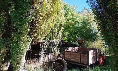 VENTA DE CHACRA EN SENILLOSA