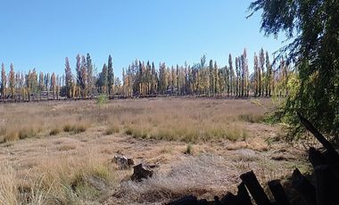 VENTA DE CHACRA EN SENILLOSA