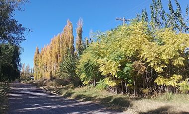 VENTA DE CHACRA EN SENILLOSA