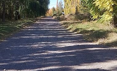 VENTA DE CHACRA EN SENILLOSA