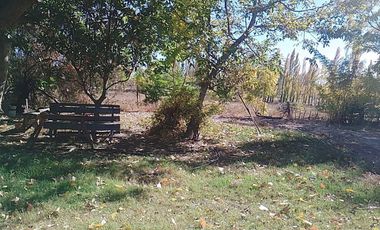 VENTA DE CHACRA EN SENILLOSA