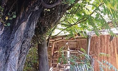 VENTA DE CHACRA EN SENILLOSA