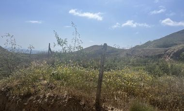 Terreno en esquina Primo Tapia