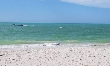 RENTA DEPARTAMENTO EN CHICXULUB PUERTO