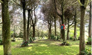 Venta de Finca en La Ceja | Reformada, con vista y huerta productiva