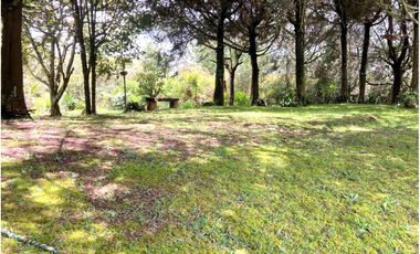 Venta de Finca en La Ceja | Reformada, con vista y huerta productiva