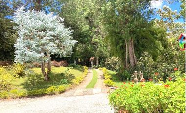 Venta de Finca en La Ceja | Reformada, con vista y huerta productiva