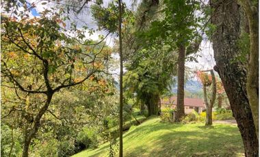 Venta de Finca en La Ceja | Reformada, con vista y huerta productiva