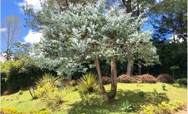 Venta de Finca en La Ceja | Reformada, con vista y huerta productiva