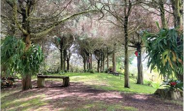 Venta de Finca en La Ceja | Reformada, con vista y huerta productiva