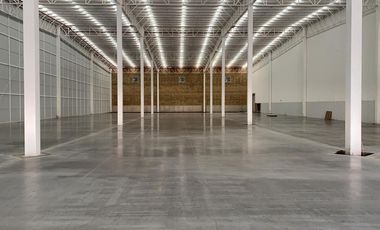Bodega en renta 12,000m2, Zona Industrial