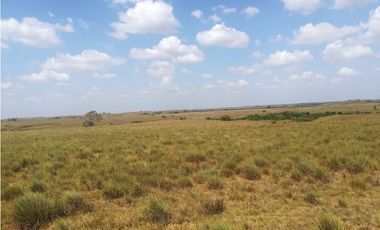 EXCELENTE FINCA EN VENTA, PUERTO LOPEZ META