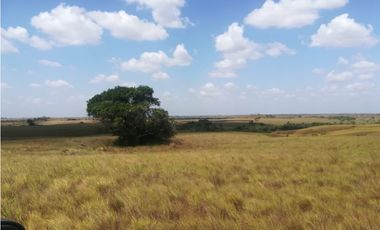 EXCELENTE FINCA EN VENTA, PUERTO LOPEZ META