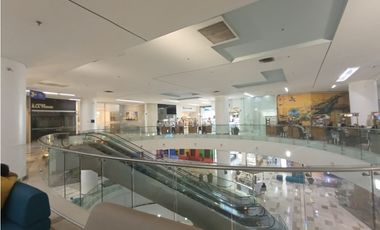 Isla en arriendo, Bocagrande