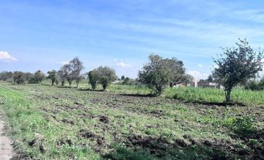 TERRENO EN RENTA EN HUEJOTZINGO