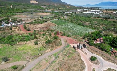 TERRENO EN VENTE FRENTE A LAGO DE CHAPALA, TUXCUECA, JALISCO