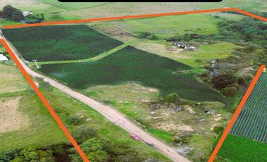 Sibaté Finca Semi Plana 4.9 Fanegadas Con Fuentes De Agua Y Fácil Acceso – ¡Su Refugio Ideal!