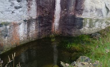 Sibaté Finca Semi Plana 4.9 Fanegadas Con Fuentes De Agua Y Fácil Acceso – ¡Su Refugio Ideal!