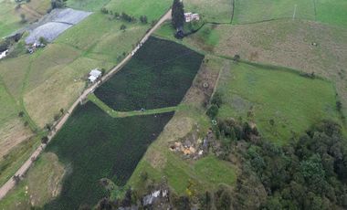 Sibaté Finca Semi Plana 4.9 Fanegadas Con Fuentes De Agua Y Fácil Acceso – ¡Su Refugio Ideal!