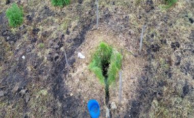 Sibaté Finca Semi Plana 4.9 Fanegadas Con Fuentes De Agua Y Fácil Acceso – ¡Su Refugio Ideal!
