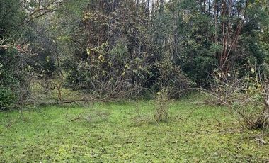 Parcelas en los Muermos con acceso a río a minutos comercio