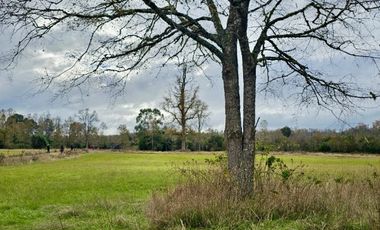 Parcelas en los Muermos con acceso a río a minutos comercio