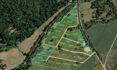Parcelas en los Muermos con acceso a río a minutos comercio