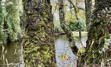 Parcelas en los Muermos con acceso a río a minutos comercio