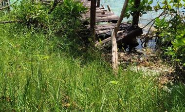 Conjunto de Terrenos en Venta – Col. Aarón Merino, Quintana Roo