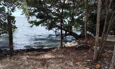 Conjunto de Terrenos en Venta – Col. Aarón Merino, Quintana Roo