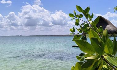 Conjunto de Terrenos en Venta – Col. Aarón Merino, Quintana Roo
