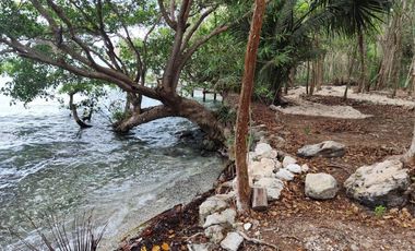 Conjunto de Terrenos en Venta – Col. Aarón Merino, Quintana Roo