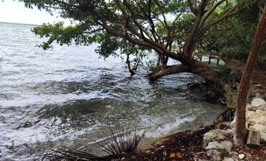 Conjunto de Terrenos en Venta – Col. Aarón Merino, Quintana Roo