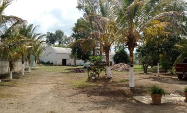 Bodega en Renta en el Castillo Chico, Xalapa, Veracruz