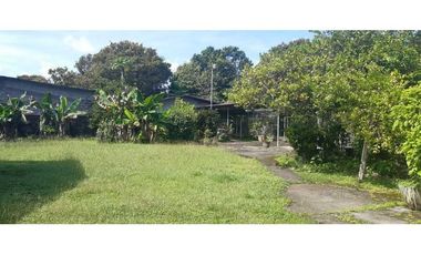 ALQUILO CASA COMERCIAL MODIFICADA Y 1200M2 DE TERRENO EN  DAVID