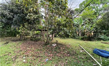 Casa en Venta en Guayabal Macanito Boqueron