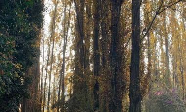 Parcela en venta en RENGO