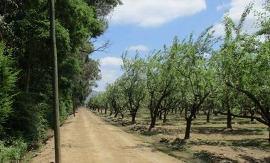 Parcela en venta en RENGO