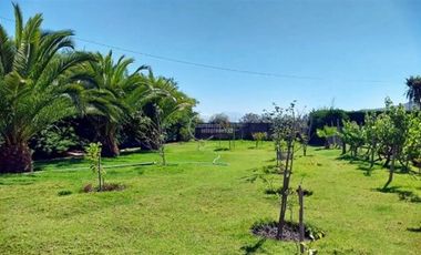 Parcela en Venta en Sector Caballo Blanco / el Almendral / Vicuña / Valle del Elqui